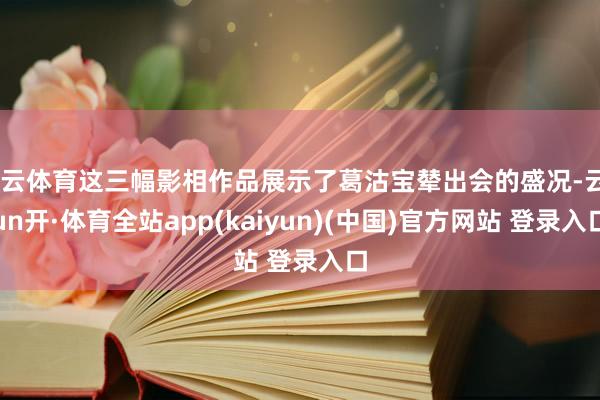 开云体育这三幅影相作品展示了葛沽宝辇出会的盛况-云yun开·体育全站app(kaiyun)(中国)官方网站 登录入口